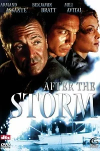 После шторма 